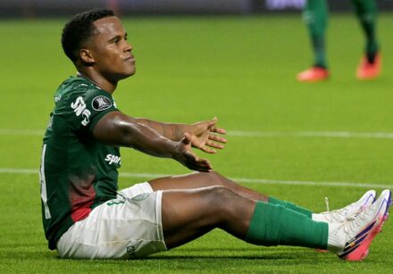 fbl libertadores palmeiras liga