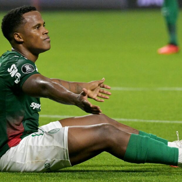 fbl libertadores palmeiras liga