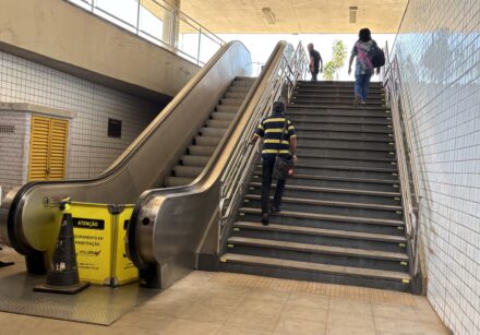 img 2691 (1)