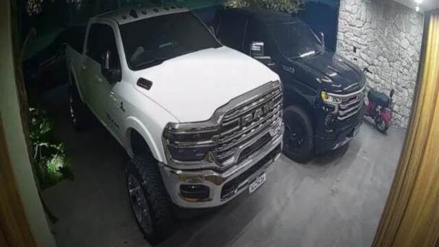 O animal apareceu debaixo de uma caminhonete estacionada no imóvel
