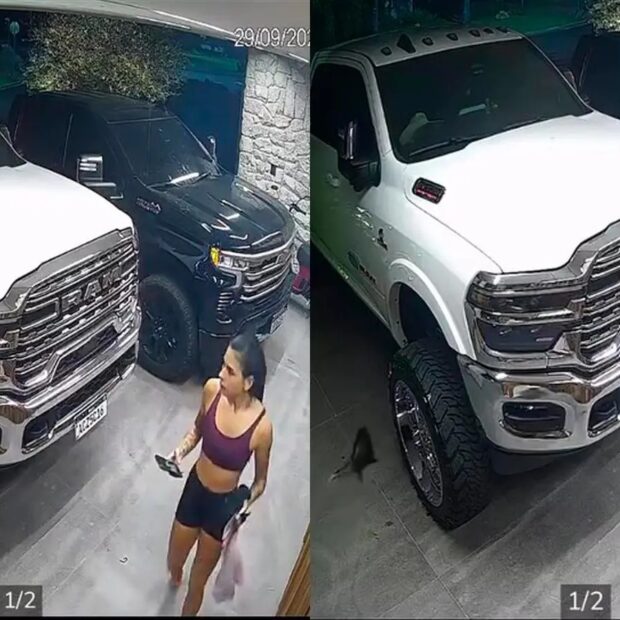 Ana Castela se assustou ao encontrar um gambá na garagem de casa