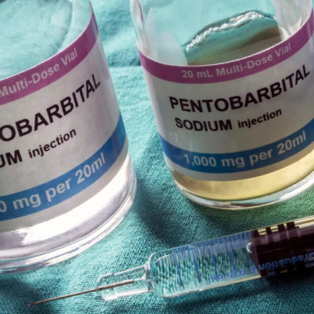 pentobarbital