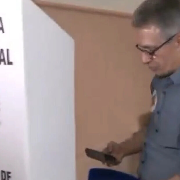 zema celular