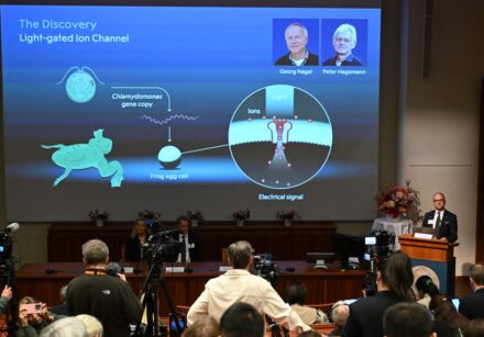 sweden nobel award medicine physiology