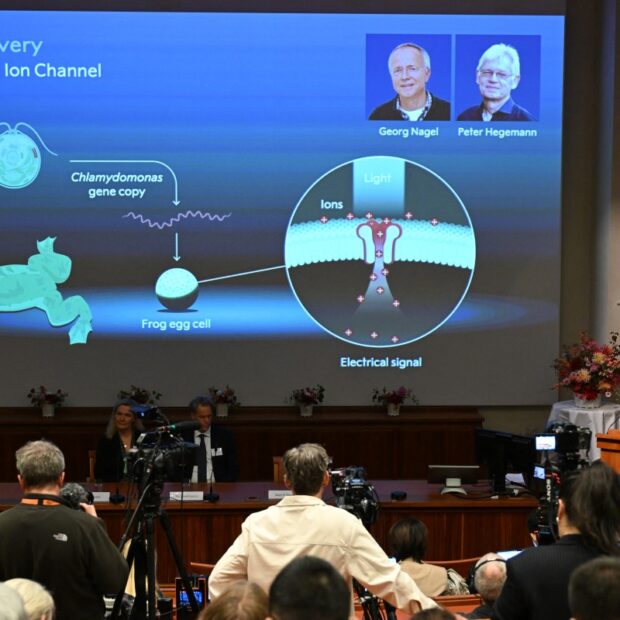 sweden nobel award medicine physiology