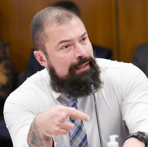 deputado paulo bilysnkyj