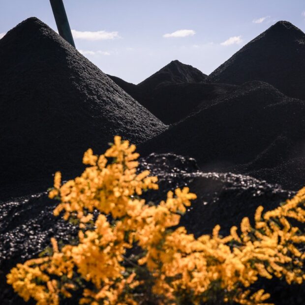 files australia un turkey cop31 climate coal environment