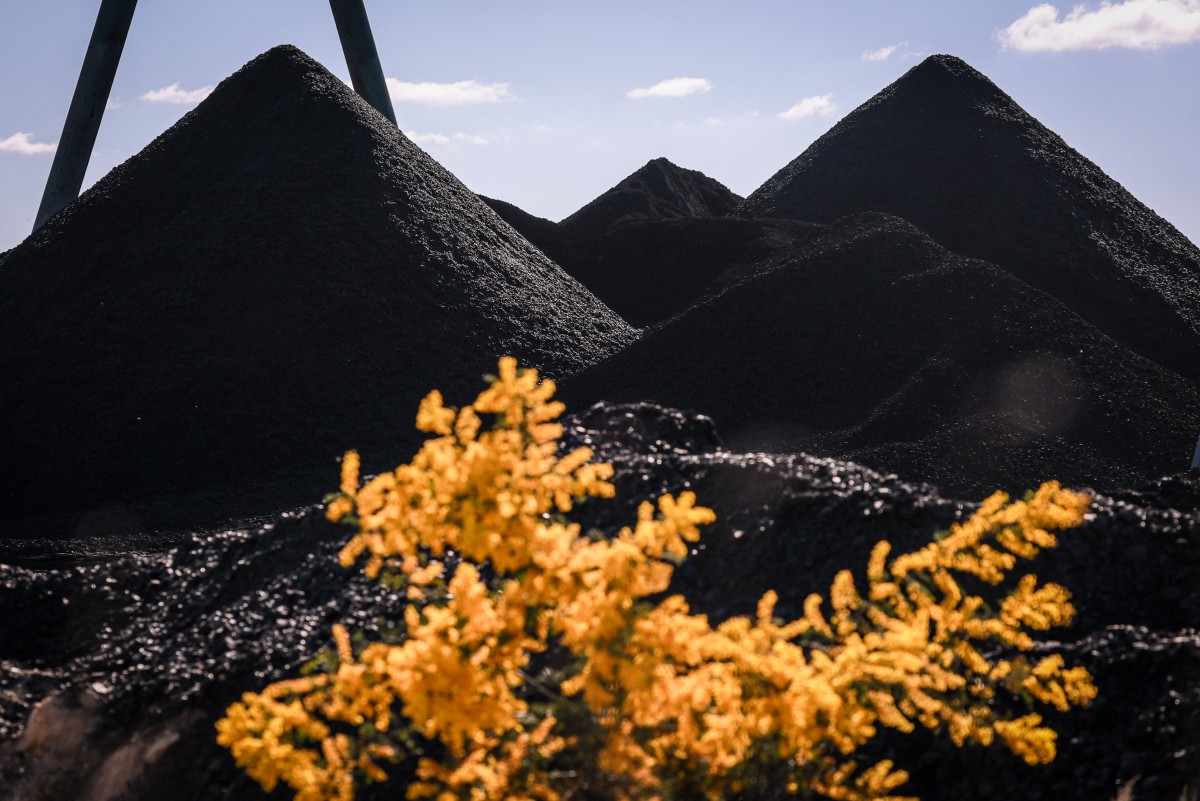 files australia un turkey cop31 climate coal environment