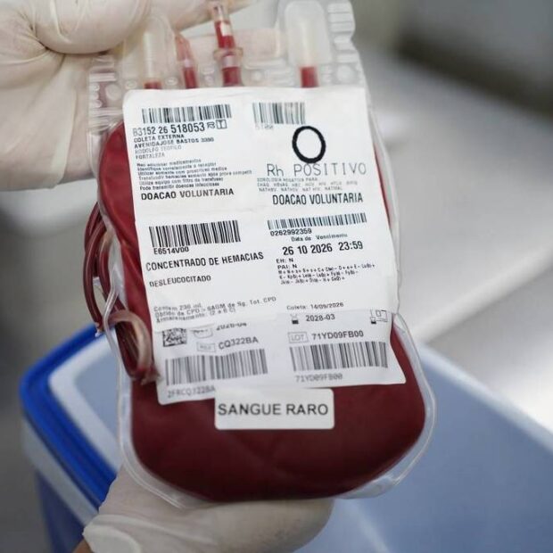sus faz transporte aéreo de sangue raro do ceará a minas