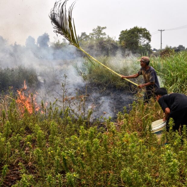 indonesia pollution environment fire