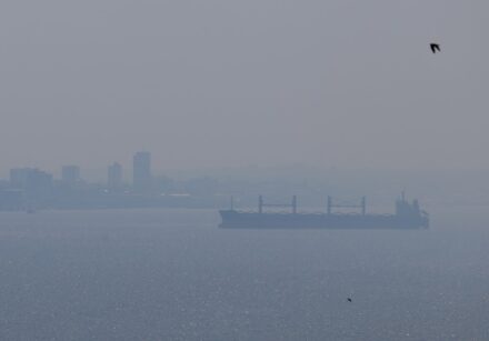 brazil environment fire