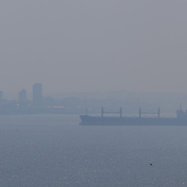 brazil environment fire