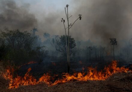 brazil amazon environment fire
