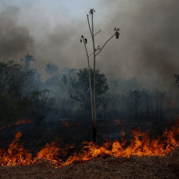 brazil amazon environment fire