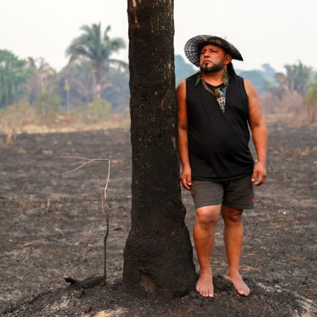 brazil environment election