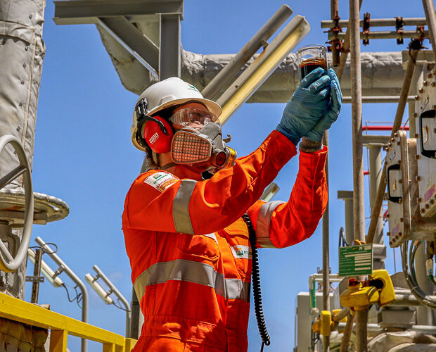 petrobras campo tupi taniarego