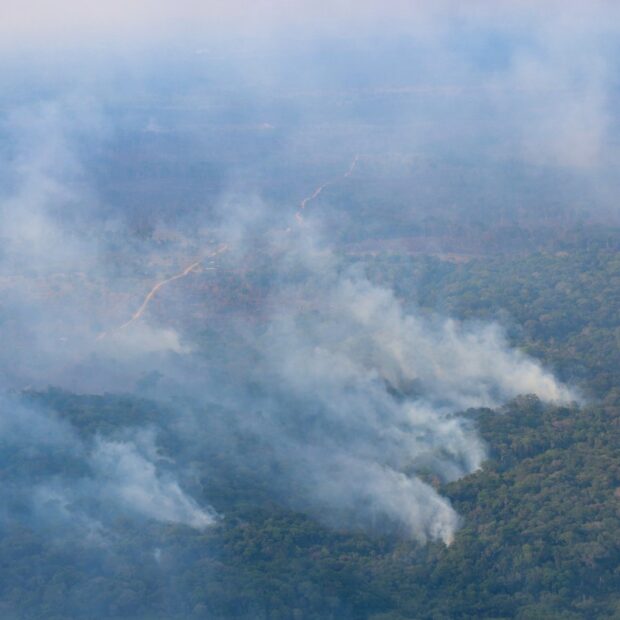 brazil amazon environment fire