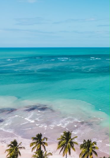 Realizado na Praia dos Carneiros, em Pernambuco, o festival aposta no conceito The Eternal Now para sua edição comemorativa - crédito: @bellaccarneiro