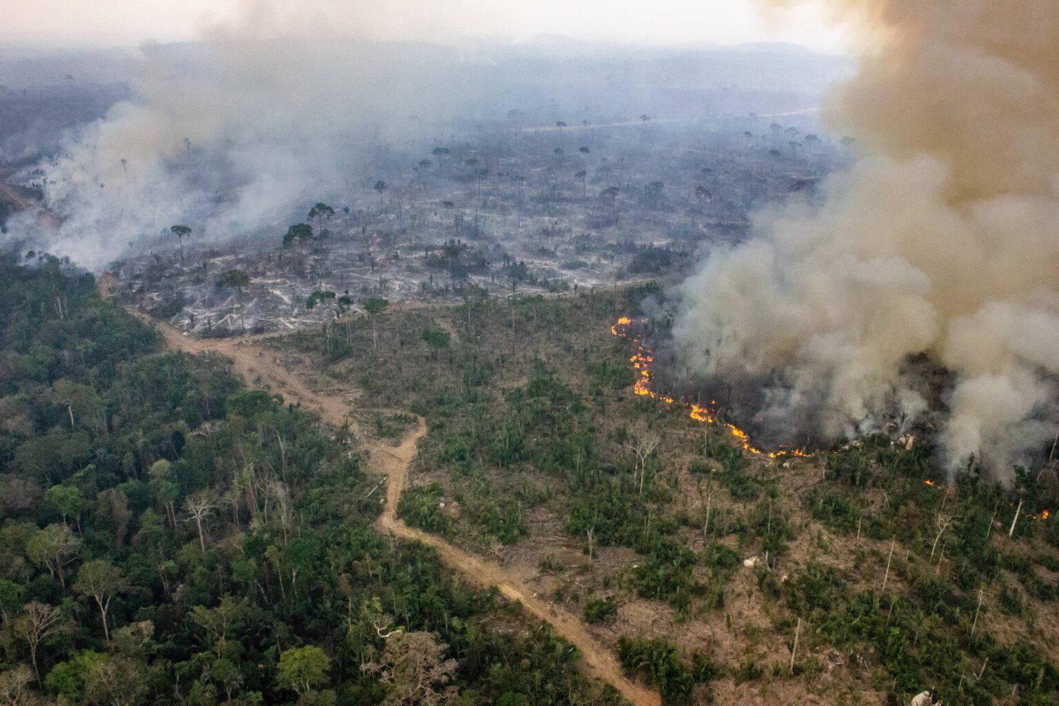 Emissões de gases-estufa caem pelo terceiro ano consecutivo no Brasil
