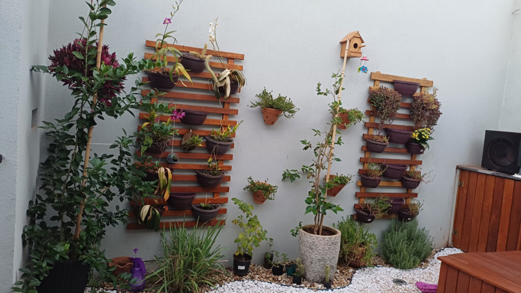Entre as plantas cultivadas por David Florim, estão orquídeas que pertenceram à mãe e hoje recebem cuidados especiais.