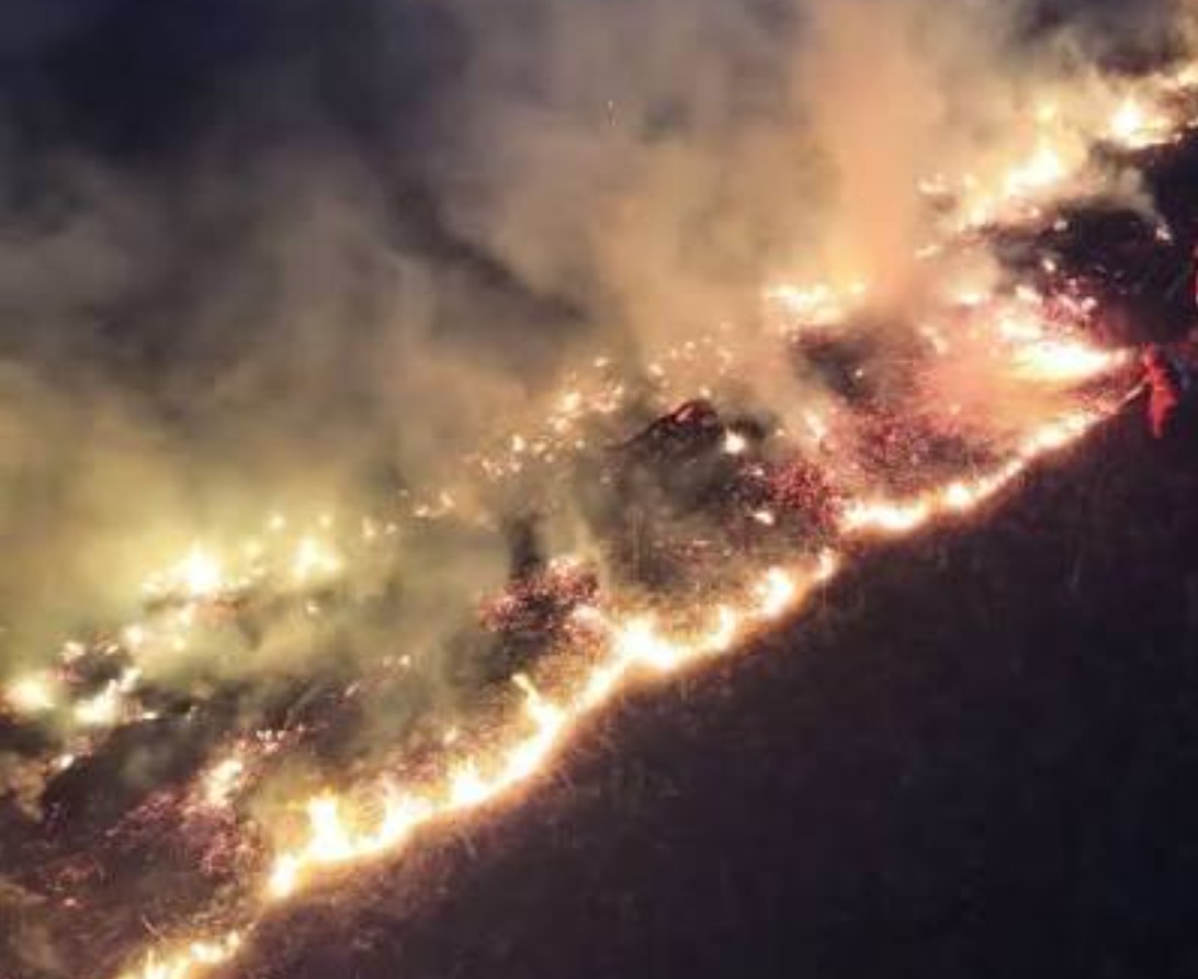Empresa japonesa de telecomunicações pede desculpas por incêndio na Mongólia