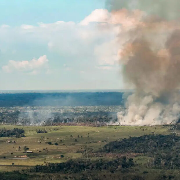 incendio pará