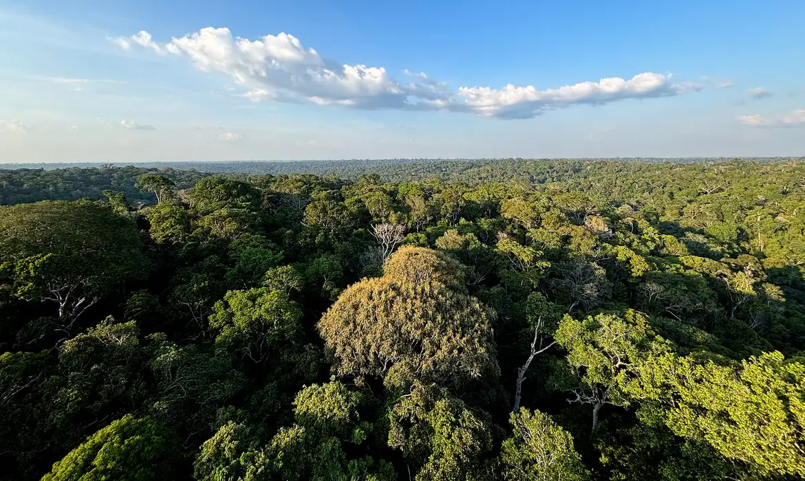 amazônia e cerrado evitaram emissões equivalentes às do japão