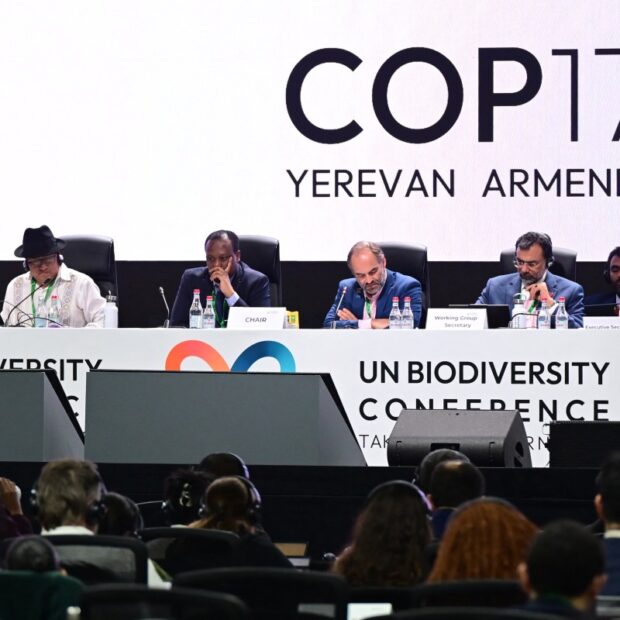 armenia un cop 17 biodiversity environment